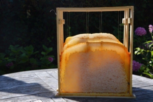 raam horizontale bijenkast