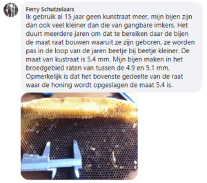 Ferry-Schutzelaars-over-kleine-cellen-in-zijn-bijenvolken