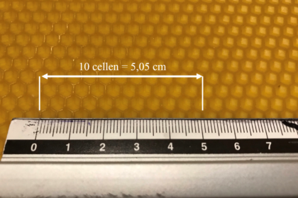 Waswafel met de kleine of kleinere celmaat - in dit geval 5,05 mm - meten per 10 cellen
