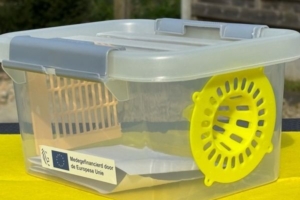 selectieve lokval van LIB