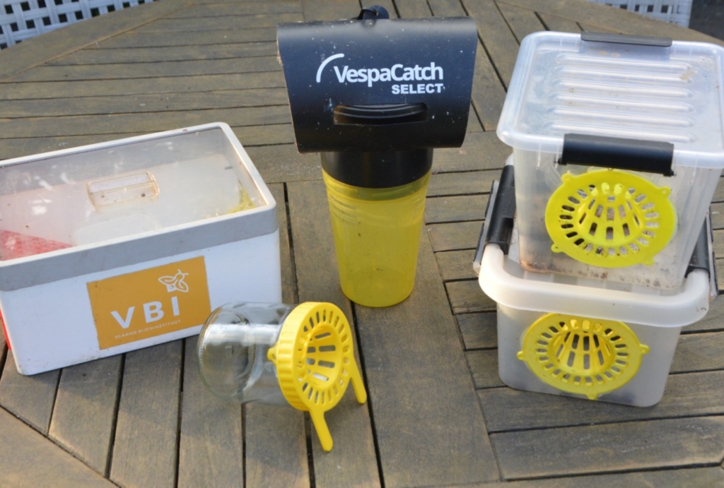 selectieve lokvallen voor Aziatische hoornaars