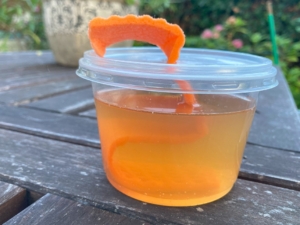 wiekpot met lokstof van wijn, bier, grenadine en beetje gist wiekpot met lokstof van wijn, bier, grenadine en beetje gist